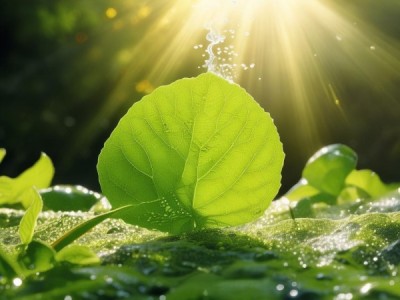 商贸合作协议，助力高效商业生态的基石